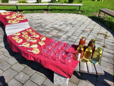 Forma viva-sprehod med živimi oblikami (3)